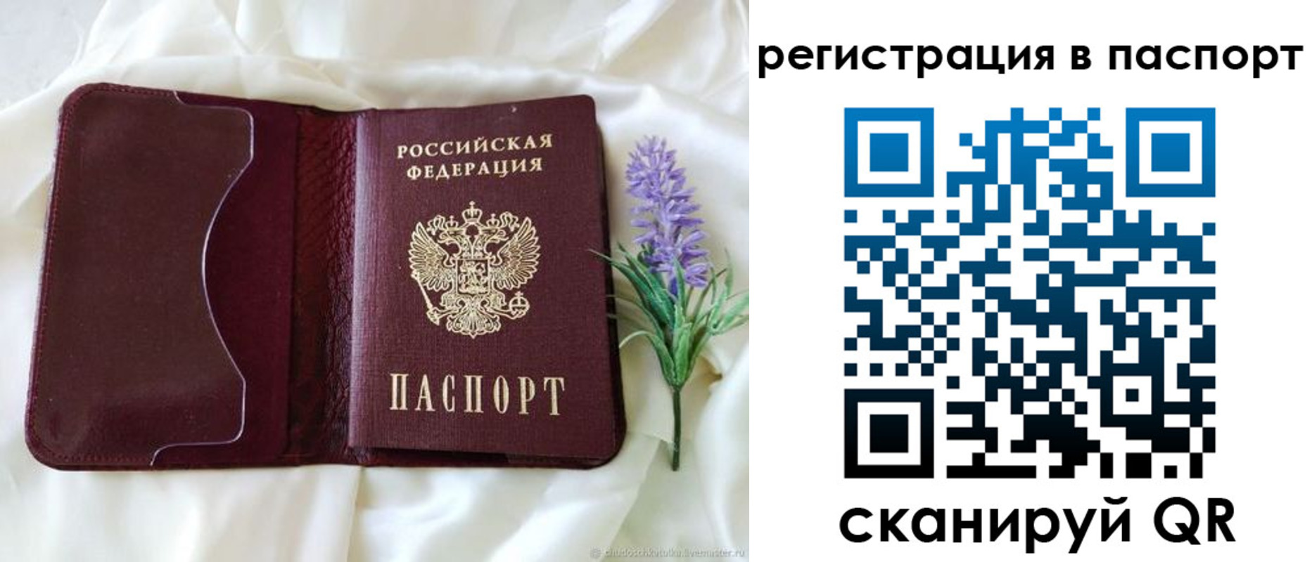 временная регистрация для всех в Завитинске
